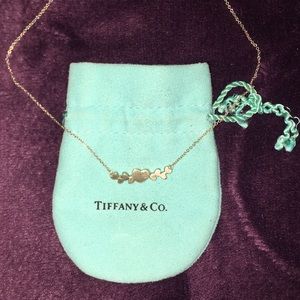 Tiffany & Co. hearts necklace